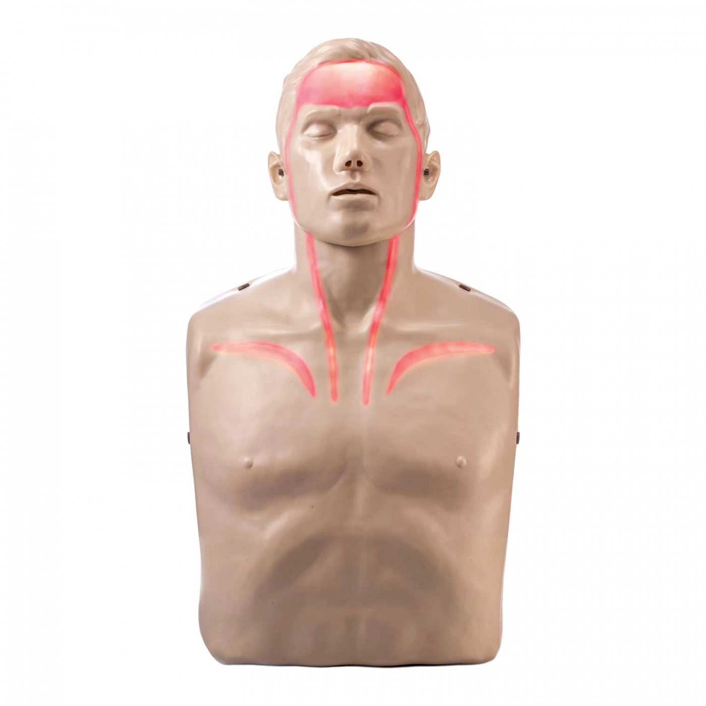 First Aid - CPR Manikin